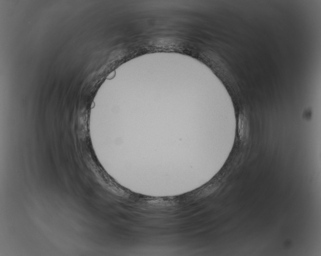 X0000115721107200912241559