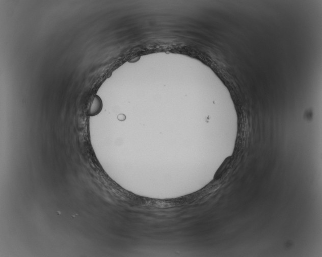 X0000115721109200912241559