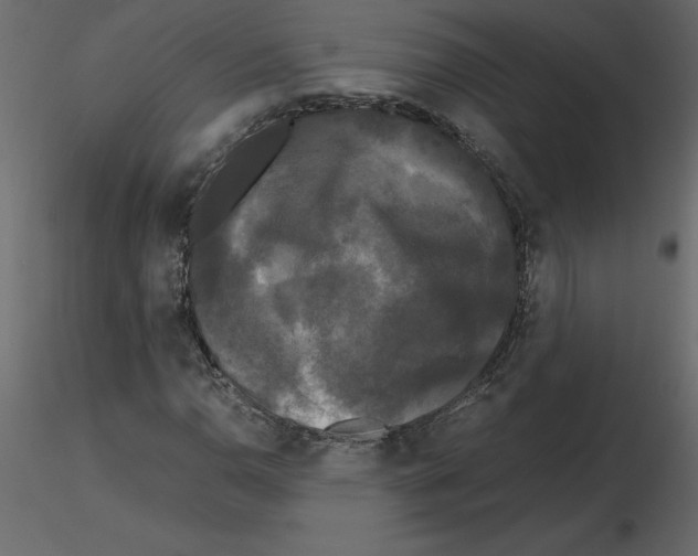 X0000115721110200912241559