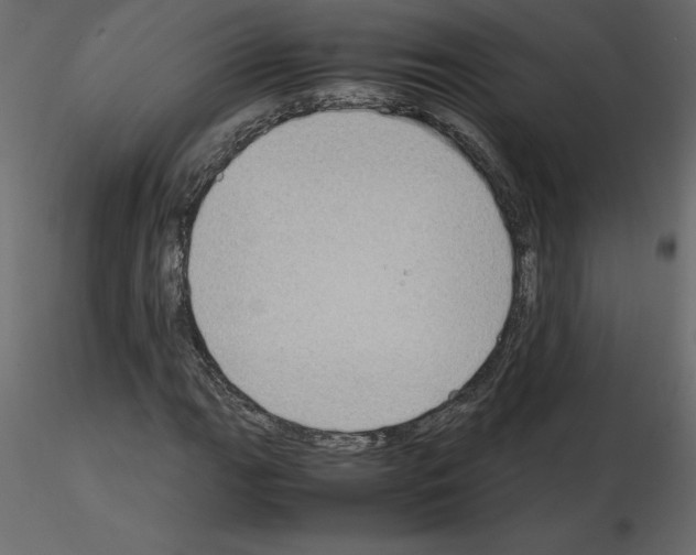 X0000115721111200912241559