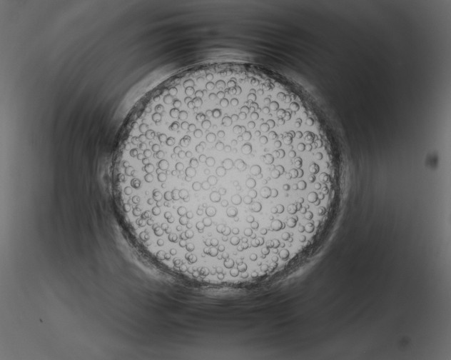X0000115721113200912241559