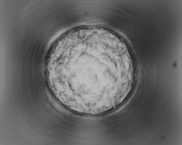 X0000115721114200912241559