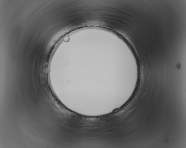 X0000115721115200912241559