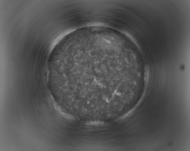 X0000115721117200912241559