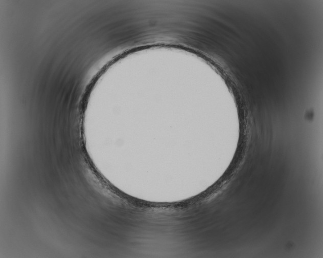 X0000115721118200912241559
