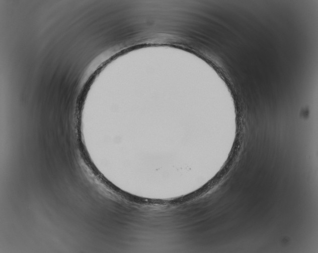 X0000115721122200912241559
