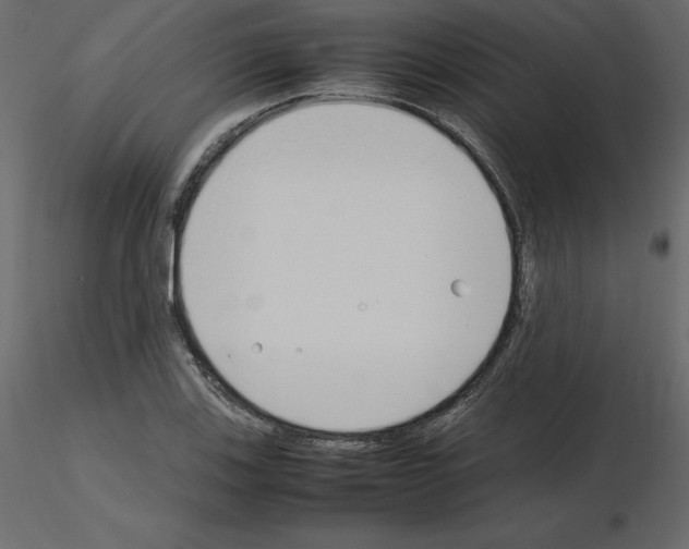 X0000115721123200912241559