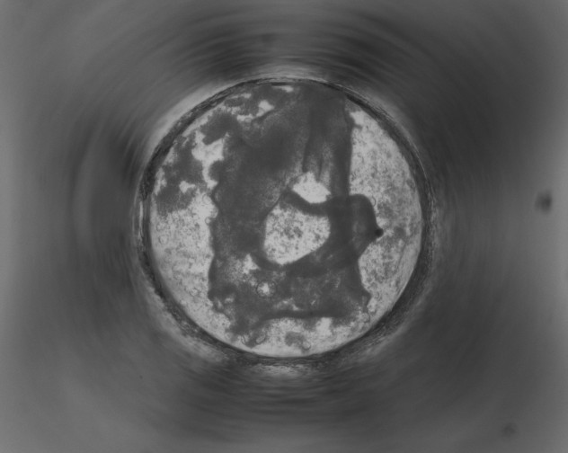 X0000115721125200912241559
