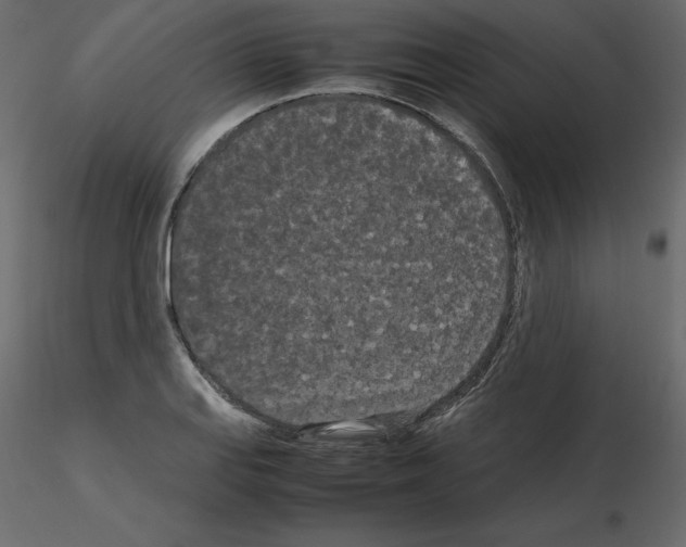 X0000115721127200912241559