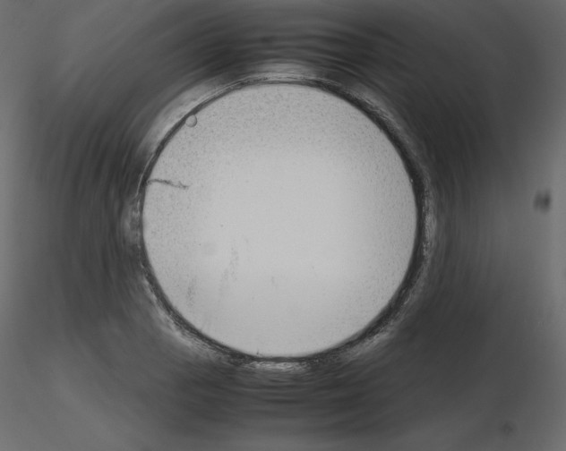 X0000115721129200912241559