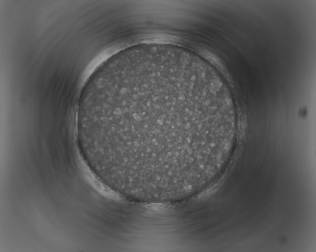 X0000115721130200912241559