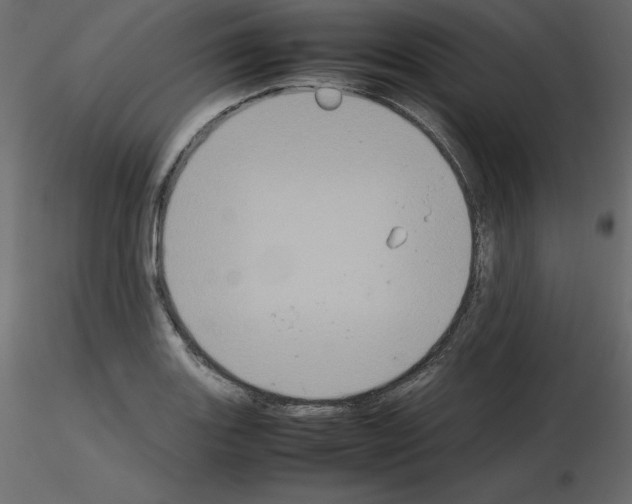 X0000115721131200912241559