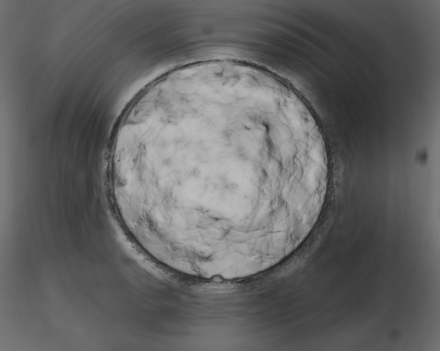 X0000115721134200912241559