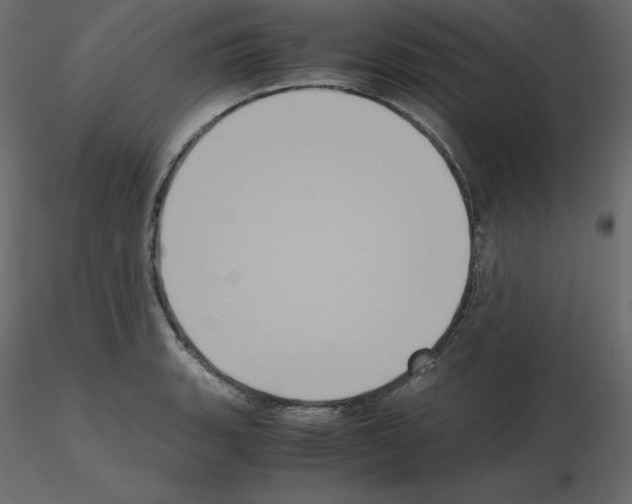 X0000115721135200912241559
