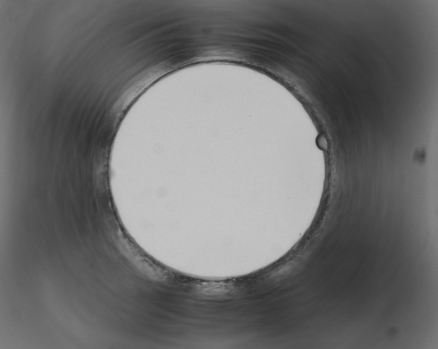 X0000115721137200912241559