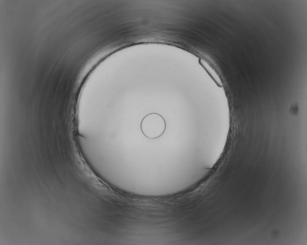 X0000115721138200912241559