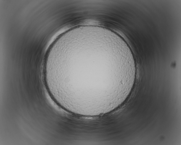 X0000115721139200912241559