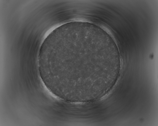 X0000115721141200912241559