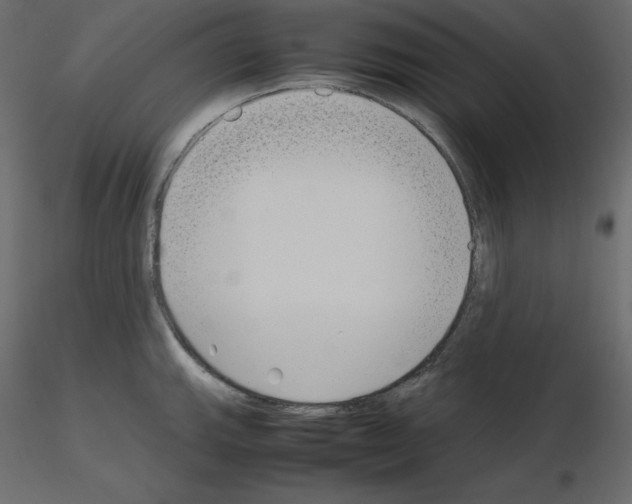 X0000115721143200912241559