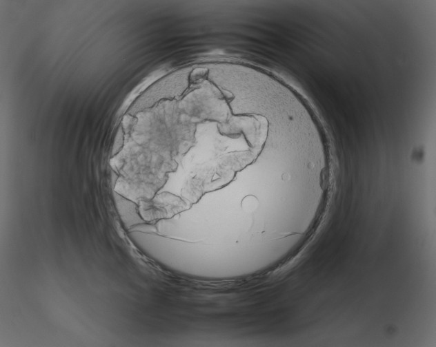 X0000115721145200912241559