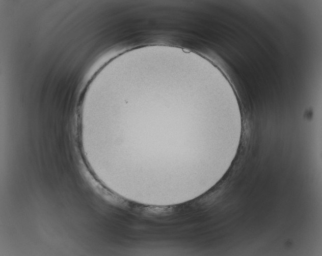 X0000115721147200912241559