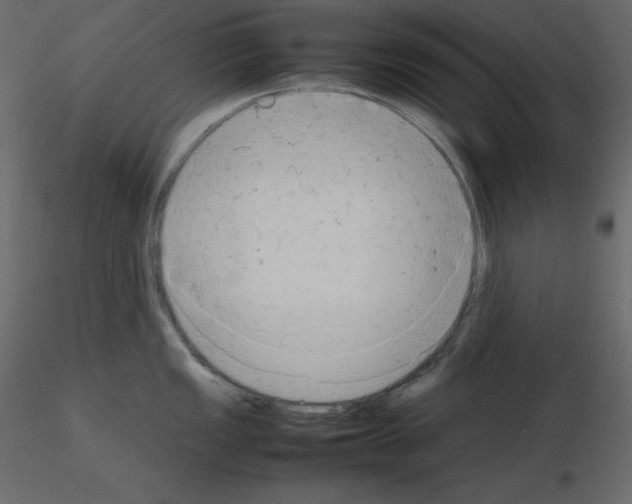 X0000115721149200912241559