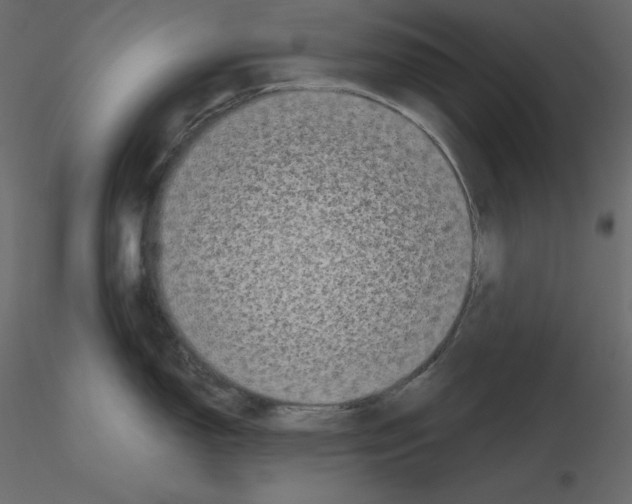 X0000115721150200912241559