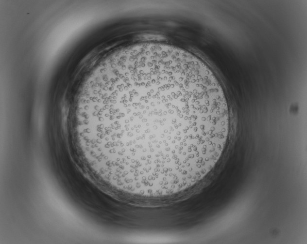 X0000115721151200912241559