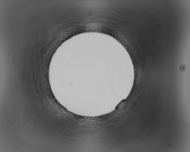 X0000115721153200912241559