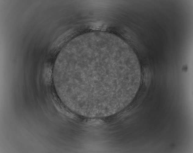 X0000115721154200912241559
