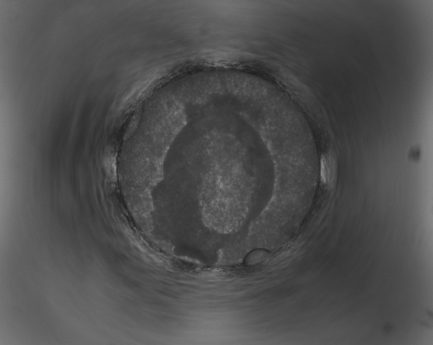 X0000115721155200912241559