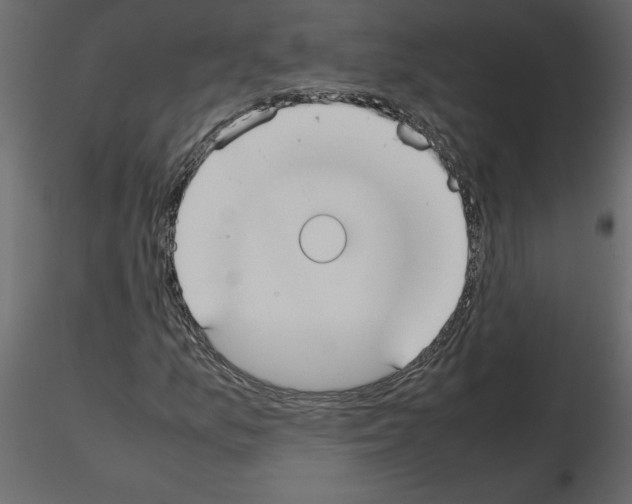 X0000115721157200912241559