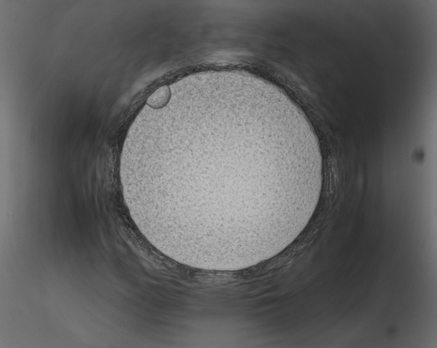 X0000115721158200912241559