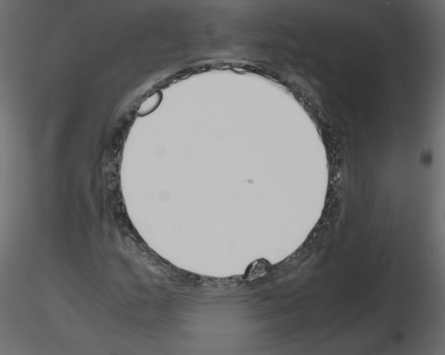 X0000115721159200912241559