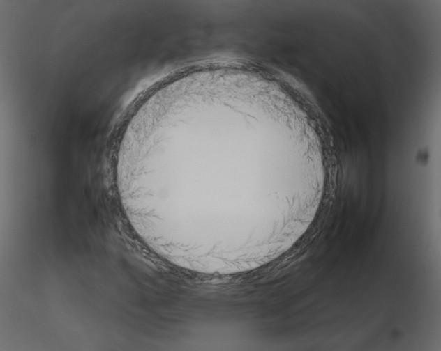 X0000115721160200912241559