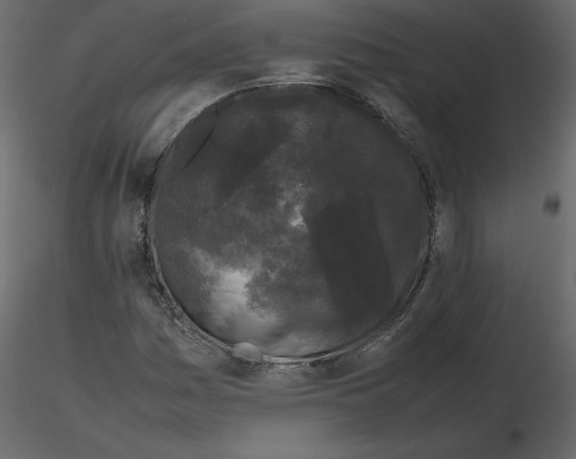 X0000115721161200912241559