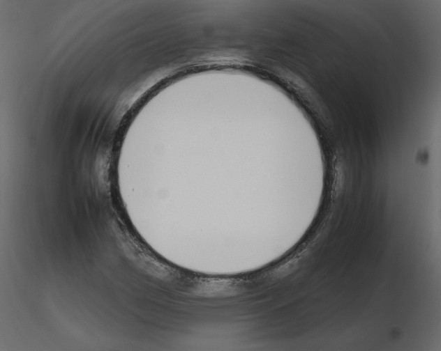 X0000115721162200912241559