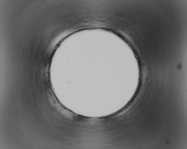 X0000115721163200912241559