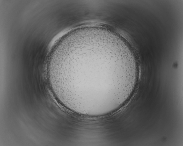 X0000115721164200912241559