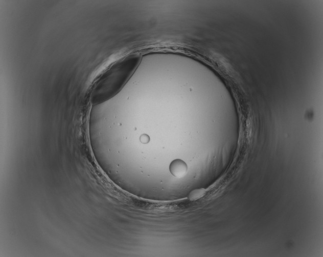 X0000115721165200912241559