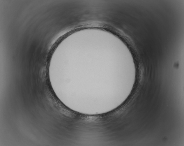 X0000115721166200912241559