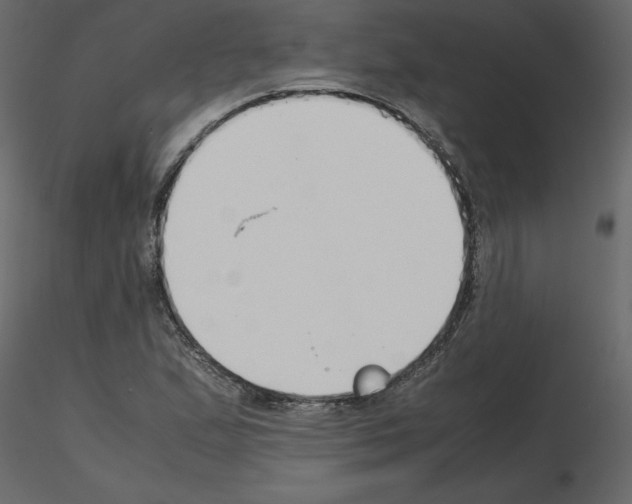 X0000115721167200912241559