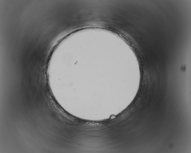 X0000115721168200912241559