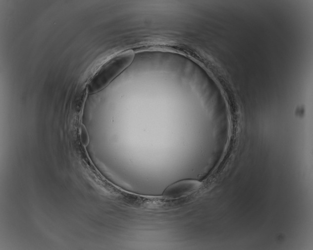 X0000115721169200912241559