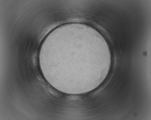 X0000115721170200912241559
