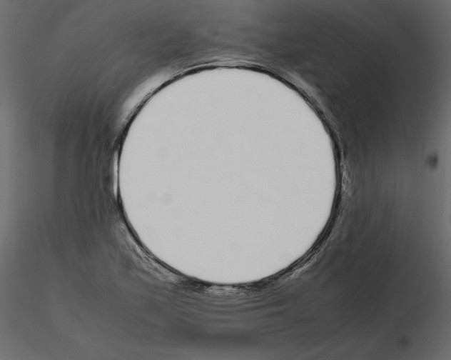 X0000115721171200912241559