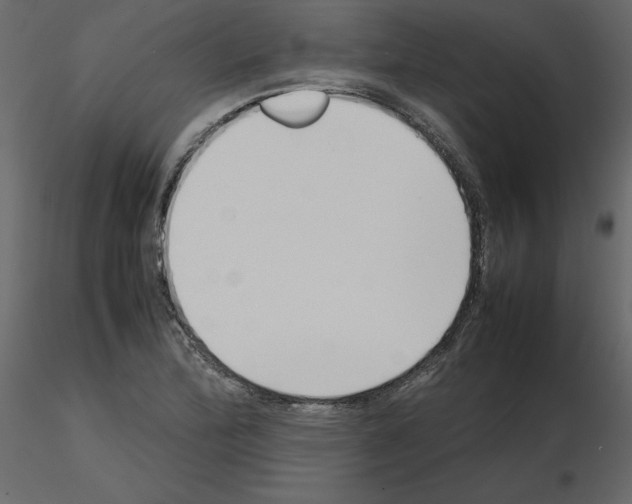 X0000115721172200912241559