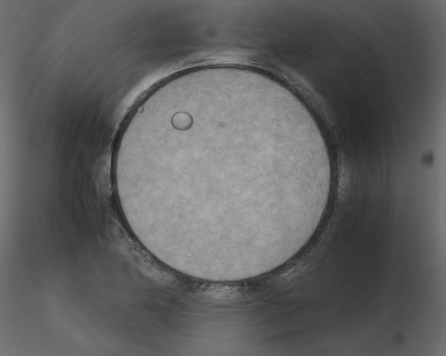 X0000115721174200912241558