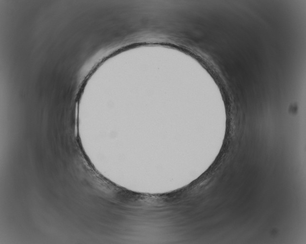 X0000115721175200912241558