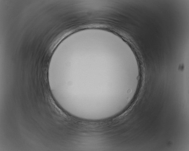 X0000115721177200912241558